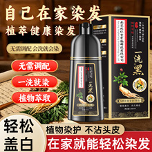 南京同仁堂植物泡泡染发剂流行色染发膏无需调配一洗就黑正品家用