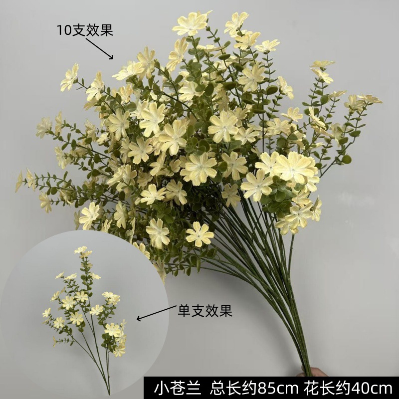 노란색 프리지아