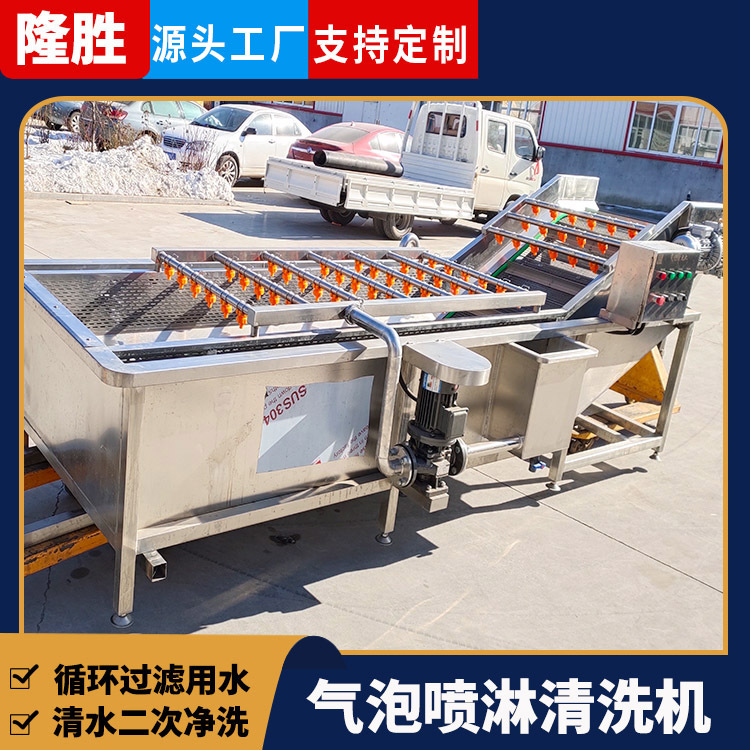 多功能喷淋鼓泡式洗菜机 沃柑果蔬清洗设备 全自动水果气泡清洗机