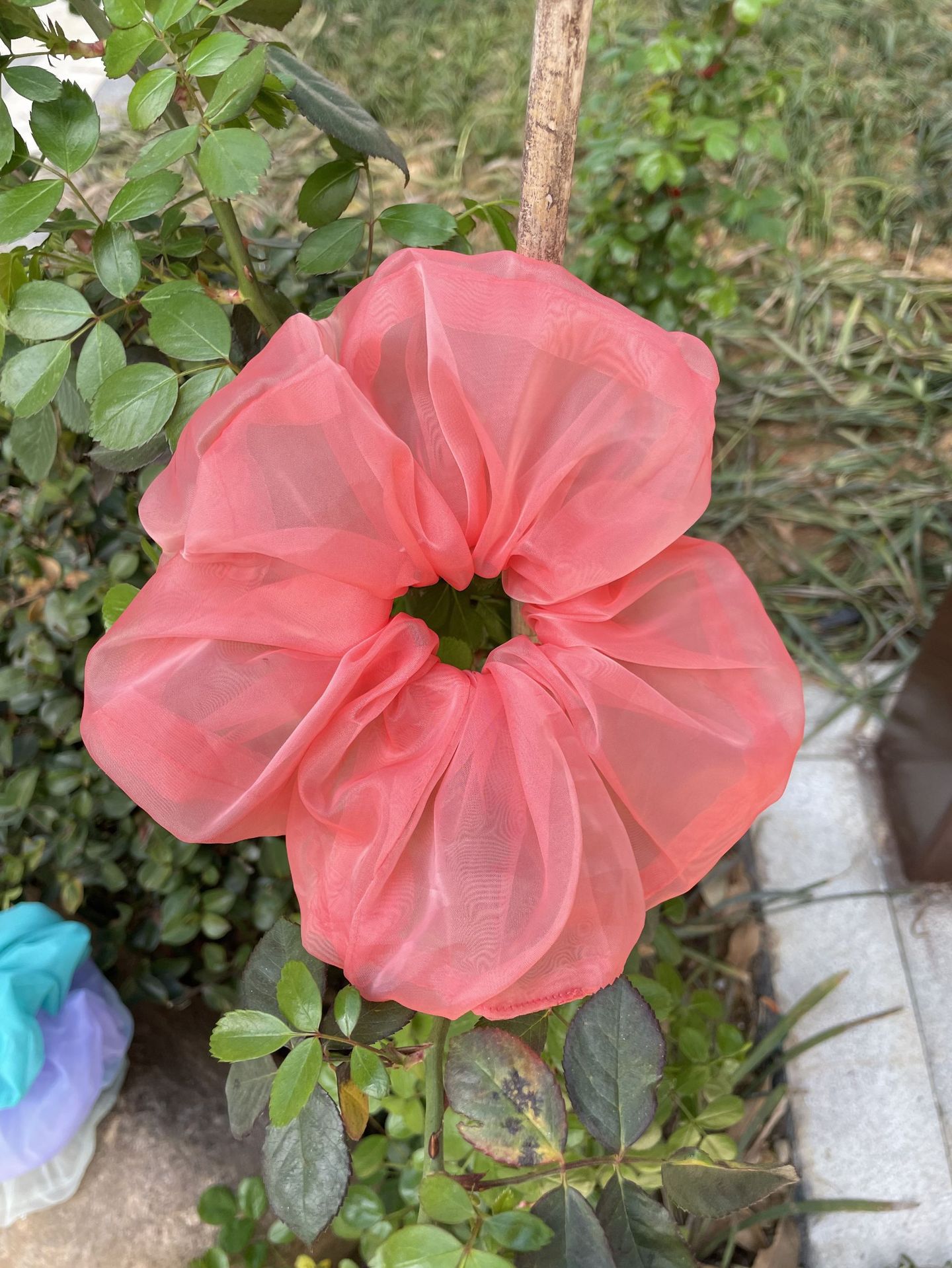 수박 레드 오간자 머리끈