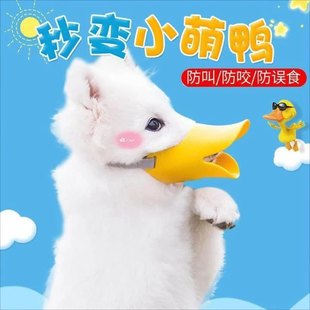 �������������ַ��y�Է�ҧ�˷���С�����ַ��`ʳС��Ȯ���������l