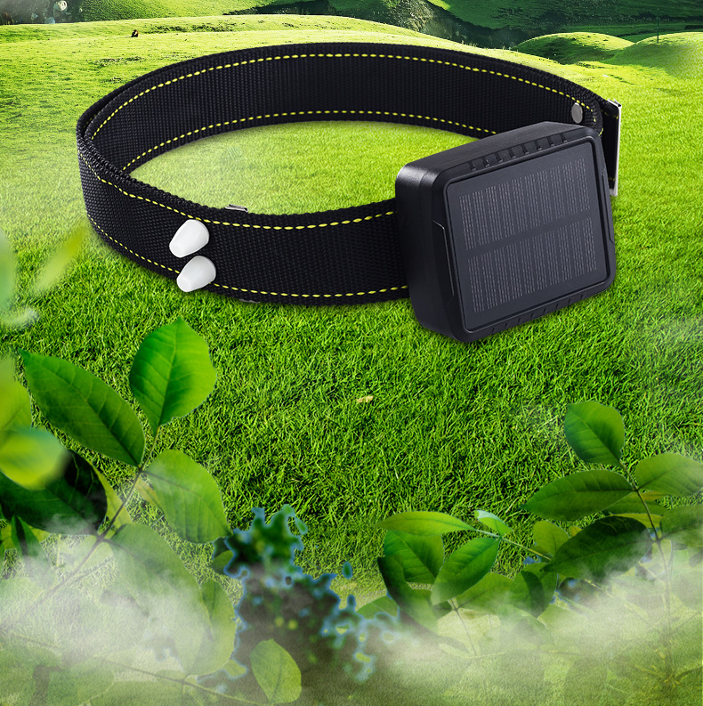 5g Cattle and Sheep Tracker Gps Solar-Powered Locator for Remote Tracking in Mountainous Areas, Popular for Cross-Border Use