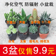 ����ֲ��������С��������ָ�����k������[���҃������ƽM������