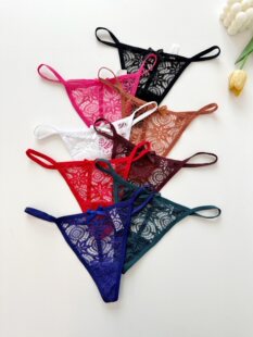 Q 22111L French Lace Underwear ��ʽ�ٽz��ѝ �羳�������R