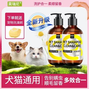 Morini Pet Shower Gel, Special Shower Gel for Cats and Dogs, Mite Removal, Deodorizing Shampoo, Long-Lasting Fragrance