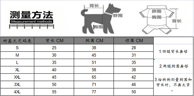 柯基犬尺码3