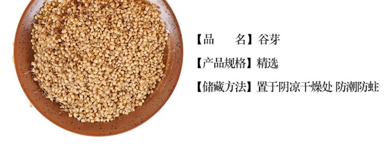 Dried Rice Sprout Gu Ya 500g Raw Herbal Decoction Pieces for Traditional TCM Use overview