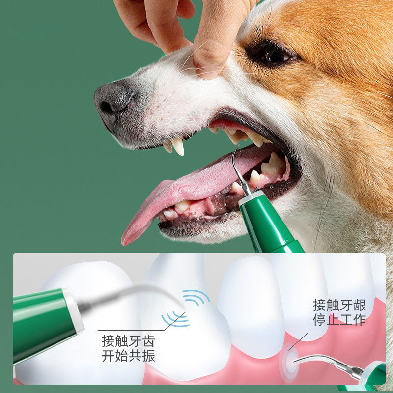 Köpek kedi ultrasonik diş temizleme cihazı