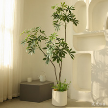 ����ľ���~�͏d�������ֲ���b����Ԕ[���҃ȁ����L�Gֲ�����٘�