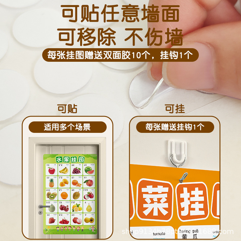 蔬菜水果动物挂图早教启蒙学习认物学前幼儿园认知认识3岁墙贴|undefined