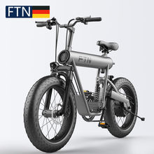 FTN电动自行车锂电池电瓶车20寸沙滩越雪地野车T20双碟刹国标两轮