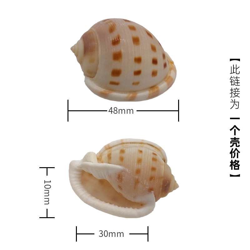 4cm 게에 적합한 X18 체스 달팽이