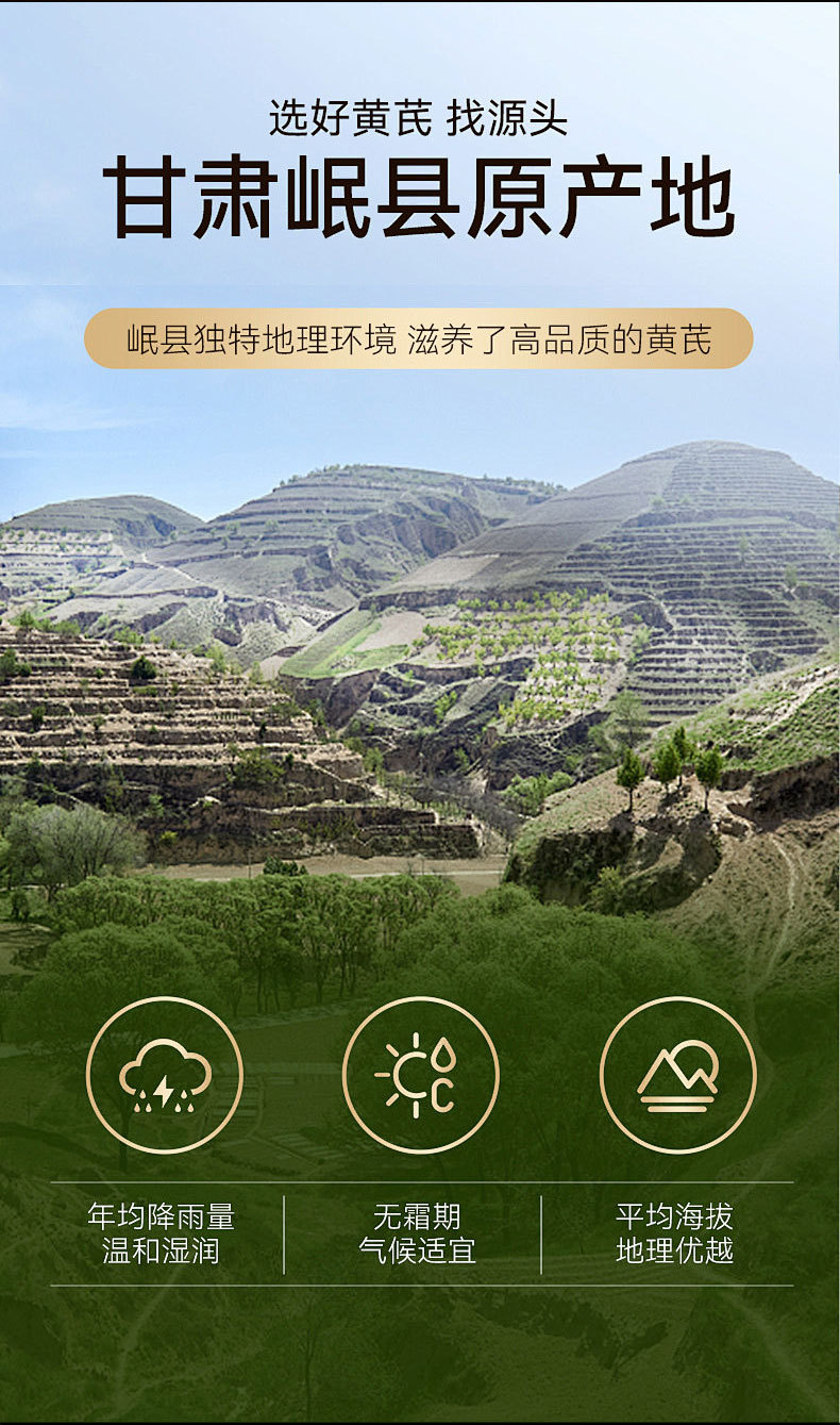 Astragalus Root Slices (Astragalus membranaceus) — Minxian Gansu Sun-Dried Huang Qi 500g overview