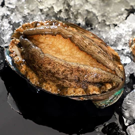 海带;鱼类;水产干货类