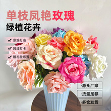 ��֦�P�Gõ��õ�廨�ӼҔ[����Y�������컨���滨���W�L��߷���