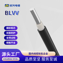 ���˶���BLVV�X���pƤ�^����늾����bƽ��Ҏ���Rȫ��ƫ���ʷ�����