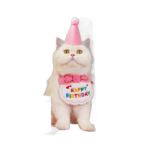 Pet ins style birthday saliva scarf bib scarf dog cat hat decoration