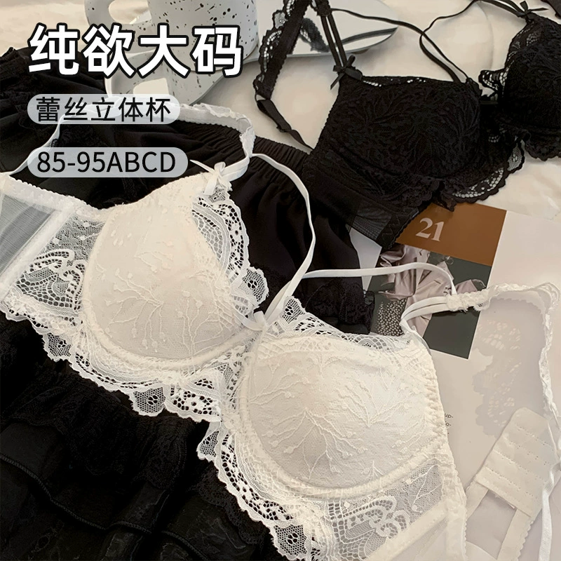 Lace sexy underwear, supporting push up bra, plus size