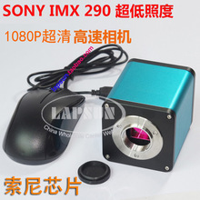 ߸ 1080P 60FPSMI IC@΢RĿR IMX 290 385