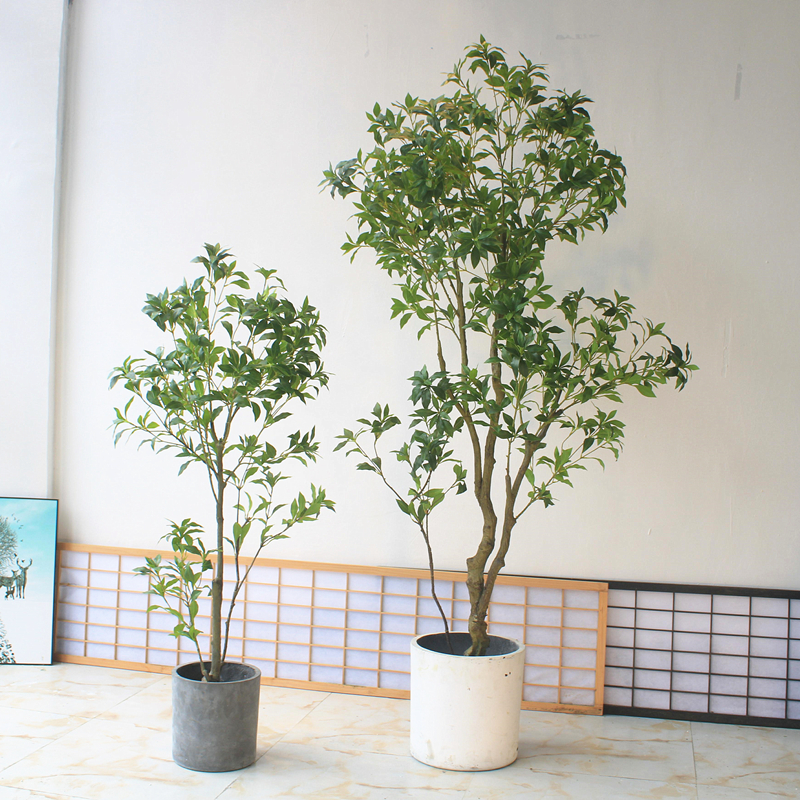 Chino-japonés ropa hotel sala de estar ventana piso floral paisaje planta verde traje de plástico simulación borracho madera