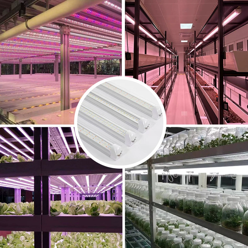 LED лампа для растений T8, полное спектр освещения для роста, варианты 0.6–1.5 м, 9–44 Вт