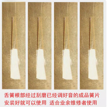 ���J�z�͞������Ƭ�{�{���{�{�{�{���� �S��ֱ�N��ƷëƬ