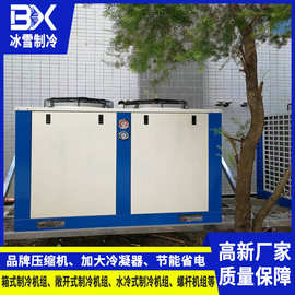 12HP制冷机组 U型冷凝机组 冷库用制冷机组 找 【广东冰雪】