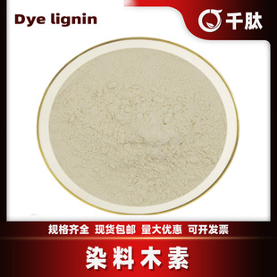 Ⱦ��ľ�� ��ȸ���Sͪ ��ȸ���S�ض�Ҏ�� ������ȡ��/��ȸ����ȡ��