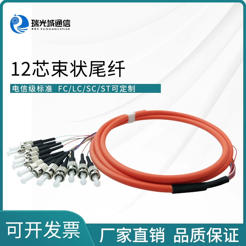 Телекоммуникационный класс 12-жильный кассетный пучок хвостового волокна одномодовый многомодовый ST/FC/SC/LC завод прямой волос