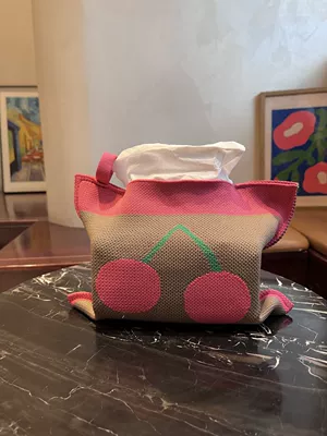 Knitted Tissue Bag, Large-Capacity Woven: Car tissue box/set - knitted-tissue-bag-zj036
