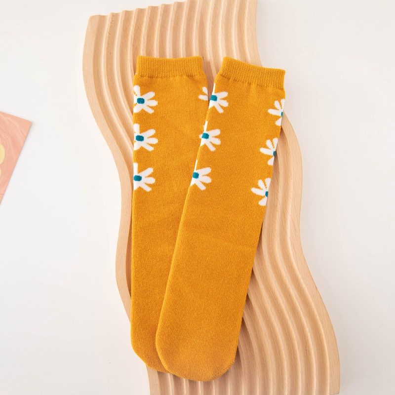 노란 바닥 흰 꽃