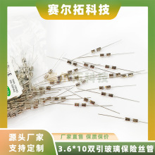 3.6*10双帽引线玻璃保险丝管250V快断F0.5A/1A/2.5A/3A/5A/8A/10A