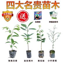 ���F���ں��ϳ�������z�ľ���纣���S�������̨��С�~��̴��