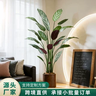 北欧仿真绿植飞羽竹芋盆栽室内家居客厅落地装饰造景植物天堂鸟