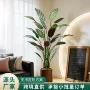 飞羽北欧客厅仿真天堂鸟