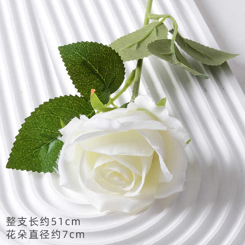 珍珠玫白色（绢布版）