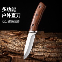 荒野求生刀具防身直刀戶外露營刀鋒利高硬度不銹鋼多功能水果刀