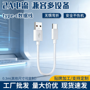 30cm�̿�typec 2A��늾� ��늌���y�֙C��䔵���� ���S�F؛ֱ��
