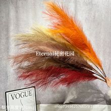 ���������JȔ����̇���С�t��ͬ����ë���l���û��Ļ�c�b���