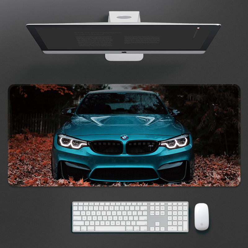 자동차-잎에 BMW