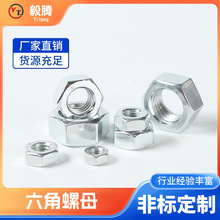 源头工厂碳钢螺母批发 12.9/8.8级高强度螺母六角螺母 外六角螺帽