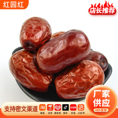 新疆骏枣大枣红枣免洗肉厚核小即食泡水煮粥煲汤独立袋装零食红枣