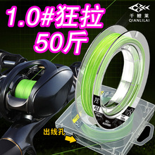 ǧRPEPb8~·ិឺڿN쾀150l