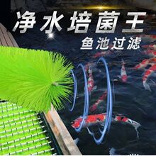 �^�V��ëˢ�~���^�Vëˢ���ϞV���\���~���^�Vëˢ��ɫ��ˮʮ��ˢ