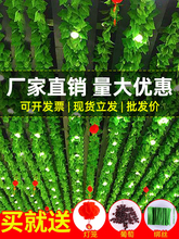 �����~�ٗl�����Gֲ����~�G�}����b����~�Ӽٻ����ϾG�~