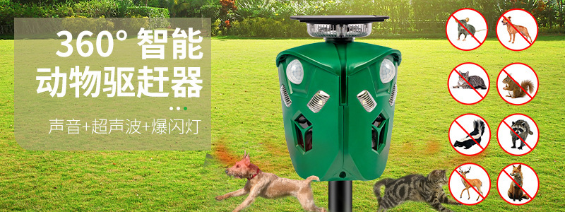 O1CN01eypvl82CRJNkMnCCp_!!9333