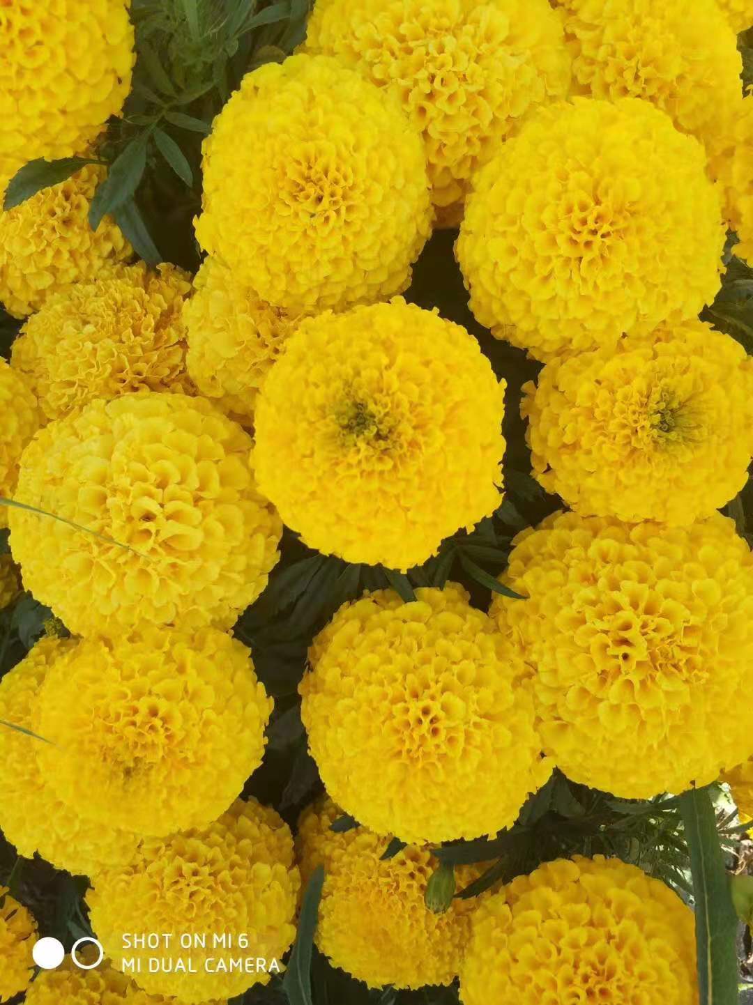 c33ee25e223ad95aa3ded766e8bf65