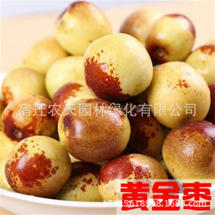 �S�����◗�����մ�������ش���������������ϱ����Nֲ����Y��
