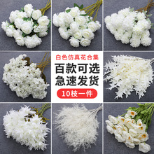 ��ɫ���滨��c�������Ż��廨���Ļ�Y�b��û�·�����ٻ���ˇ