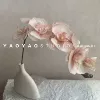 Телесно-розовый